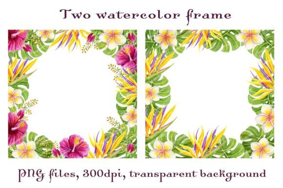 Download Tropical Frames Flowers Palm Leaves PNG - Tropical Collection