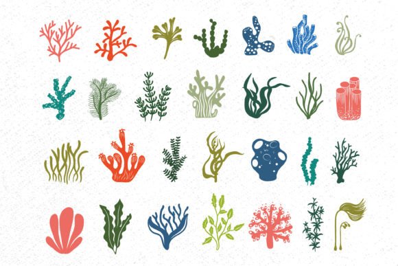 Download Coral Svg Bundle, Seaweed Svg, Coral Svg - Coral Collection