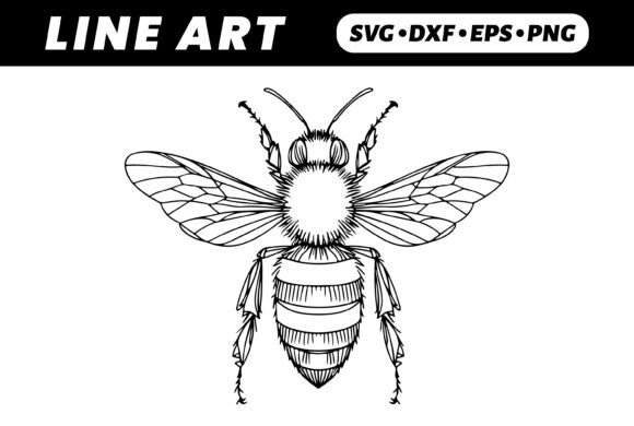 Download Line Art Bee Drawing, Detailed Wings - Line art Collection