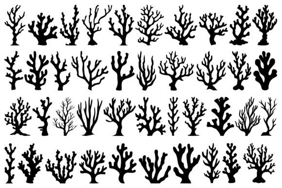 Download Coral SVG Bundle - Coral Collection