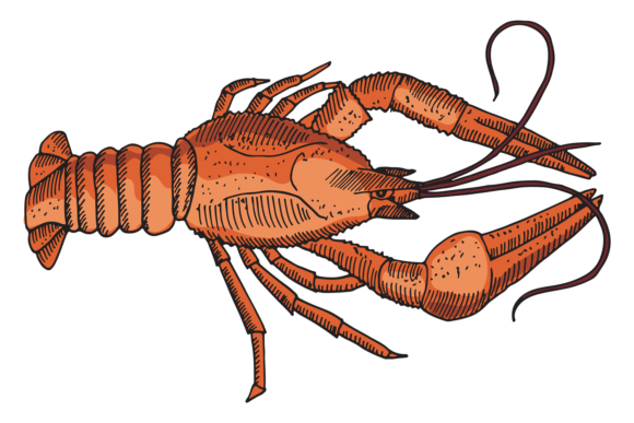 Download Red Lobster Drawing. Seafood Restaurant - Red Collection